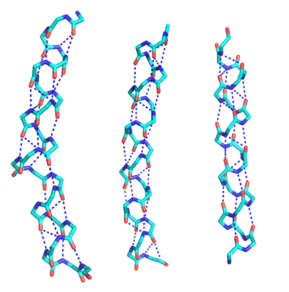 Conservation of kinks in membrane proteins | Oxford Protein Informatics