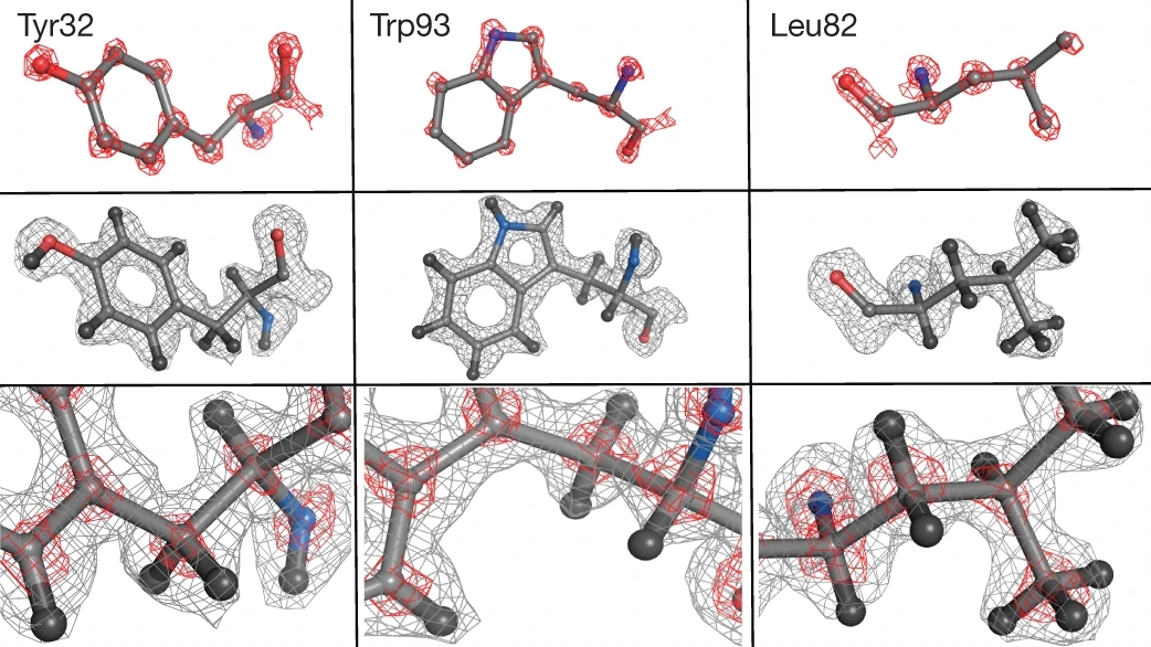 Cryo-EM Reaches Atomic Resolution In Protein Structure Determination ...