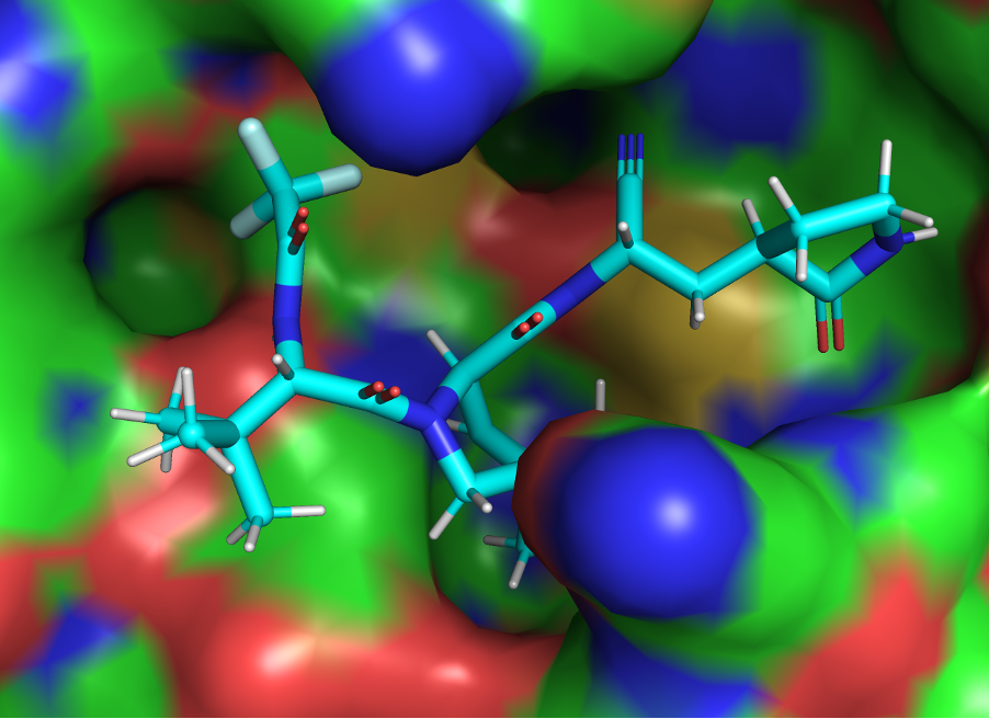 Meeko: Docking Straight From SMILES String | Oxford Protein Informatics ...